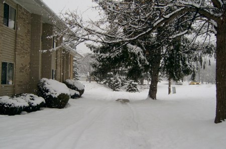 2005.12.15.01.집앞