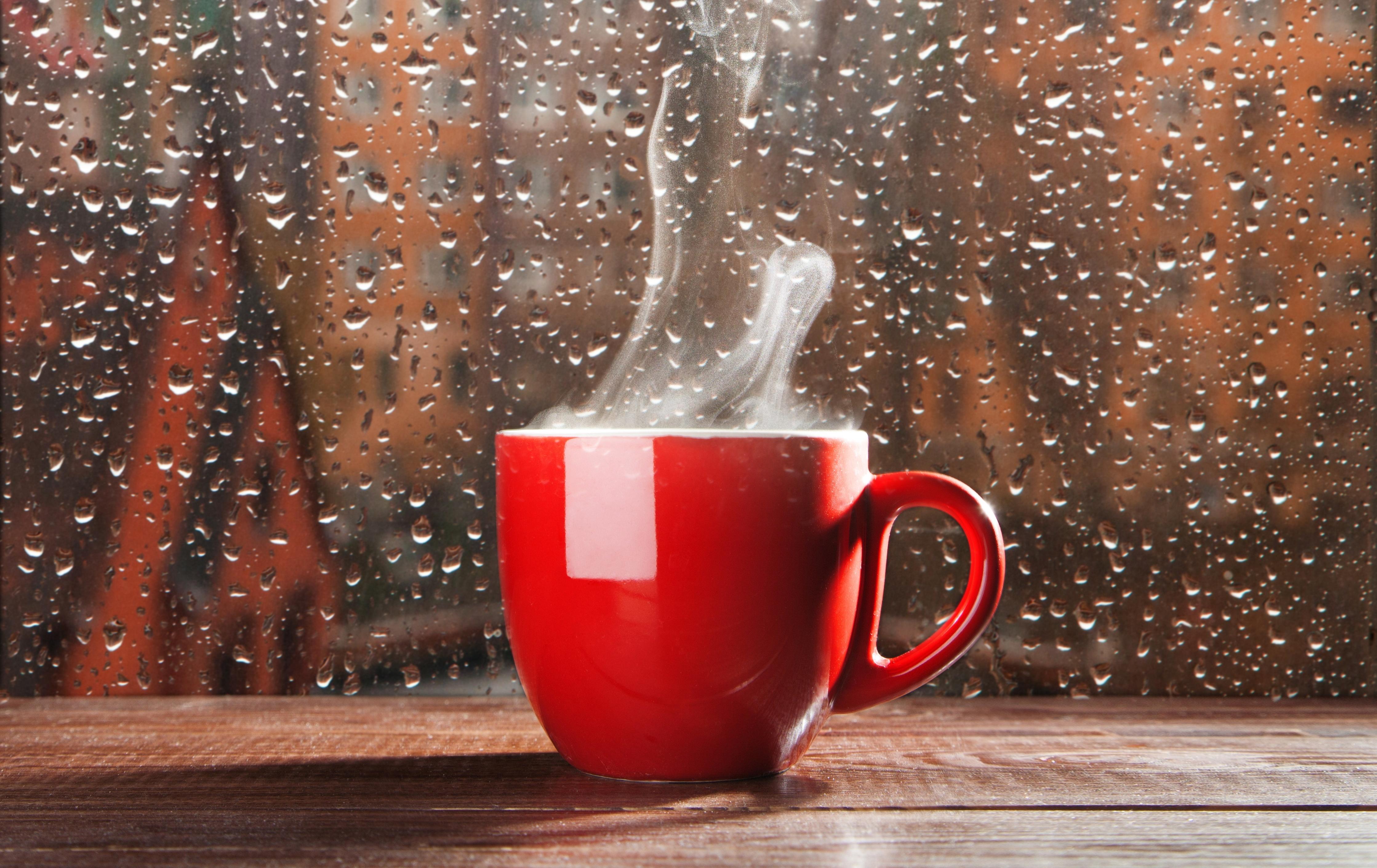 coffee_window_cup_rain_drops_abstract_hd-wallpaper-1797849