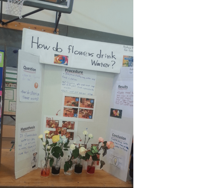 sciencefair2014