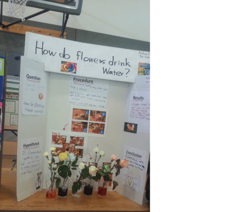 sciencefair2014