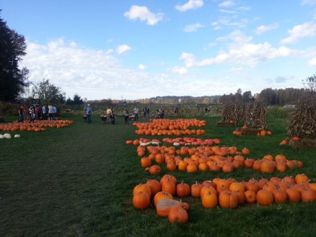 WP_20141019_001