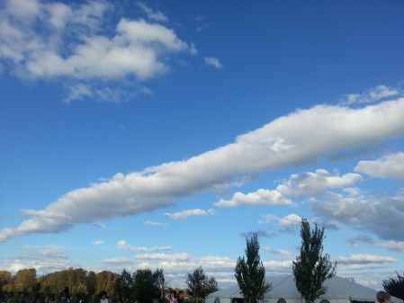WP_20141019_003