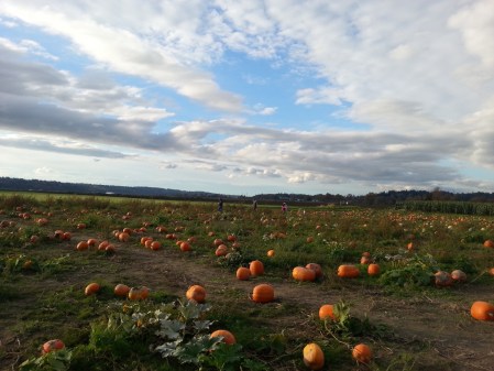 WP_20141019_008