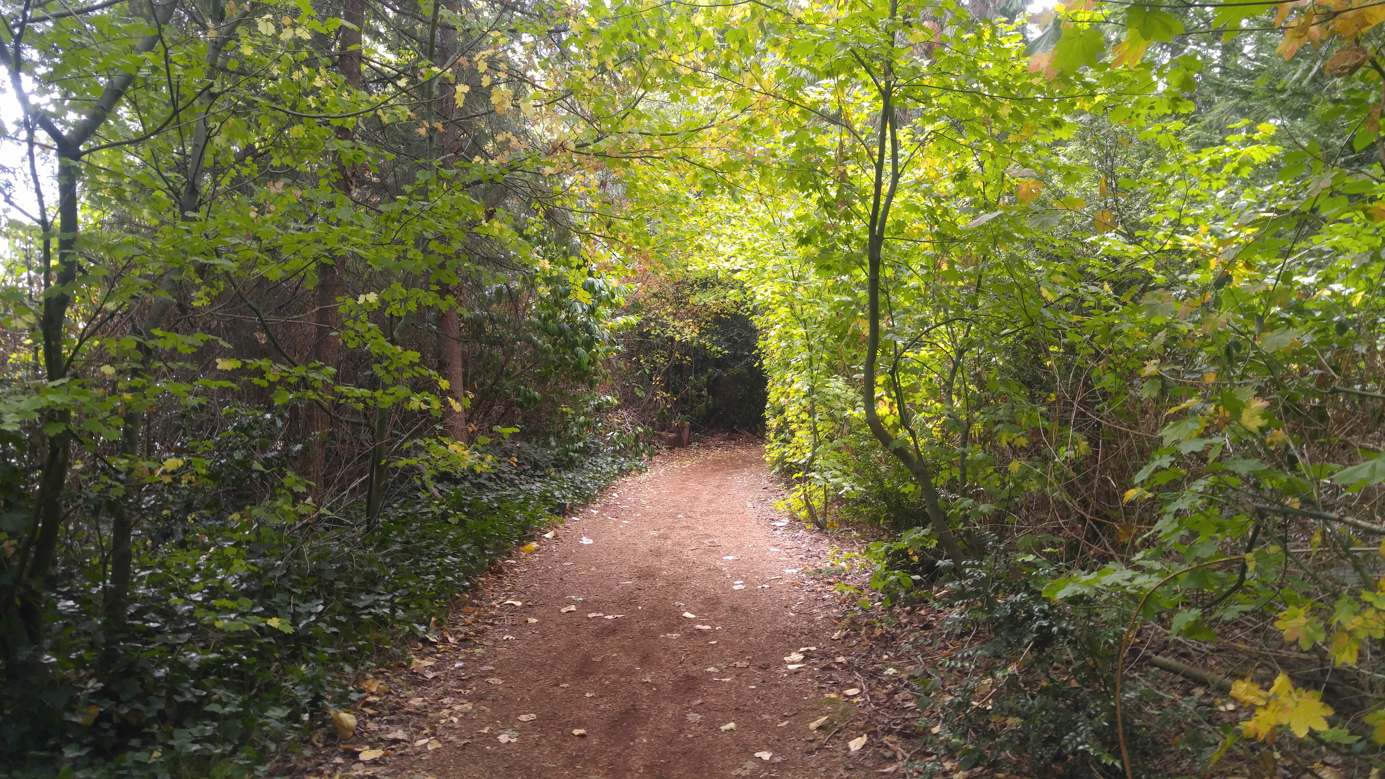 20160924_130605.jpg