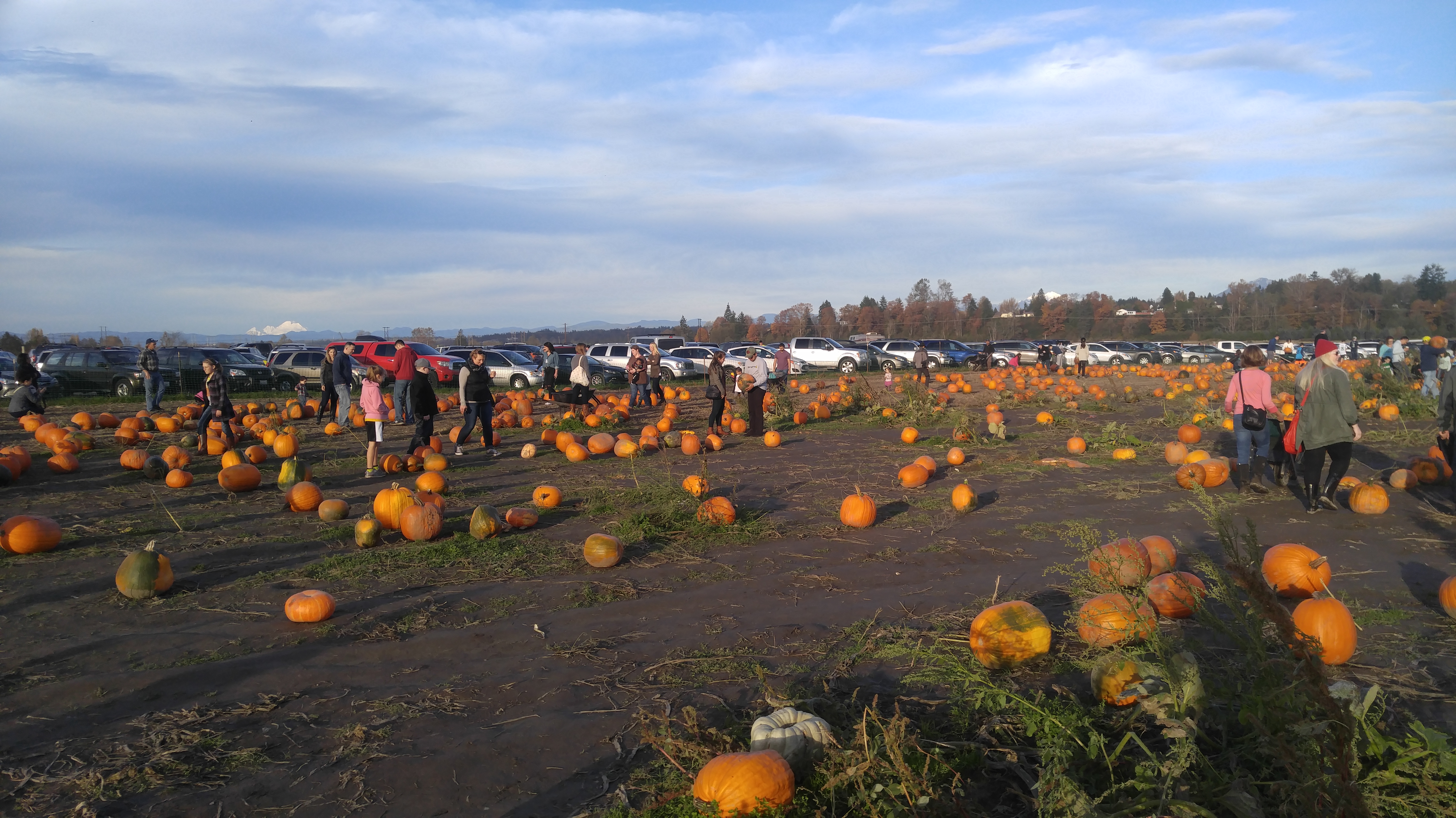 20161022_165353