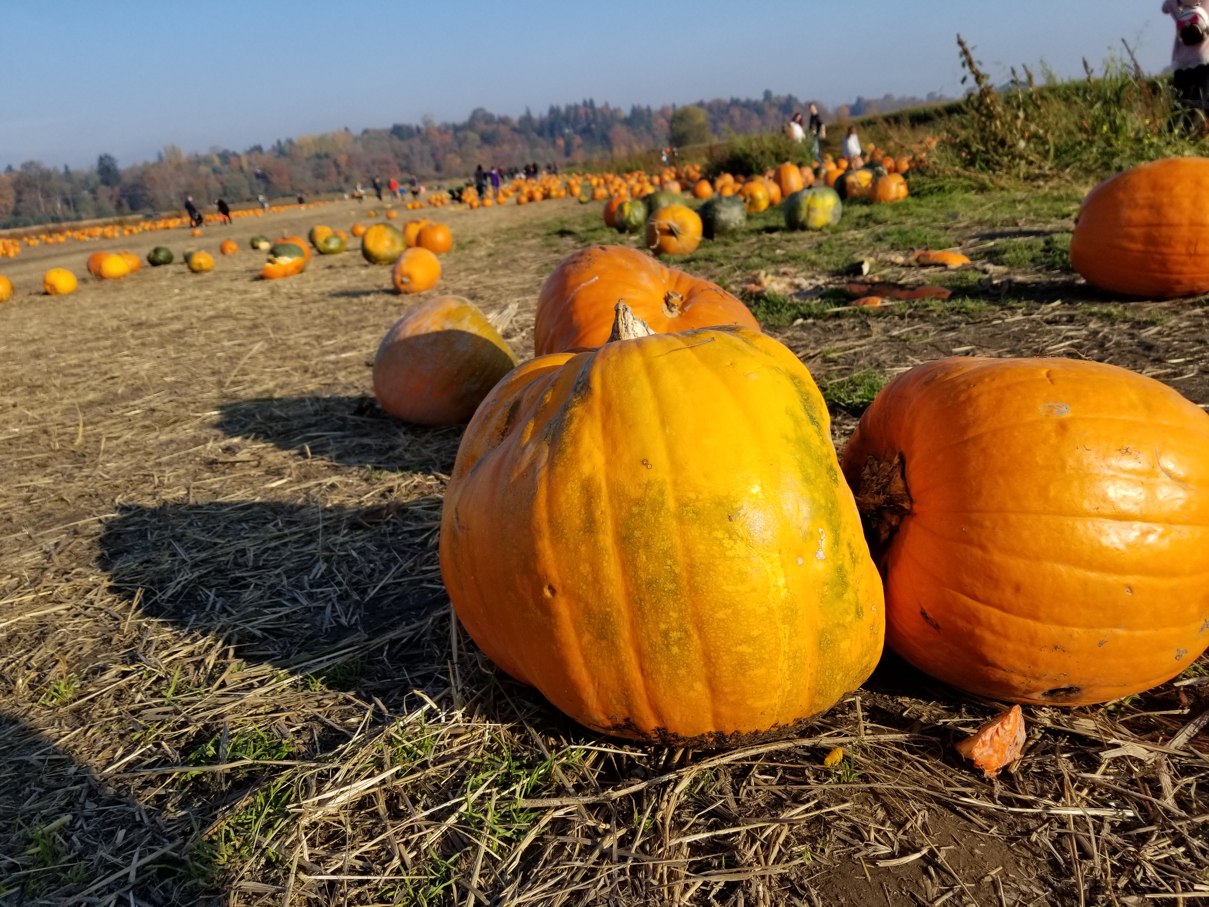 20171029_154752