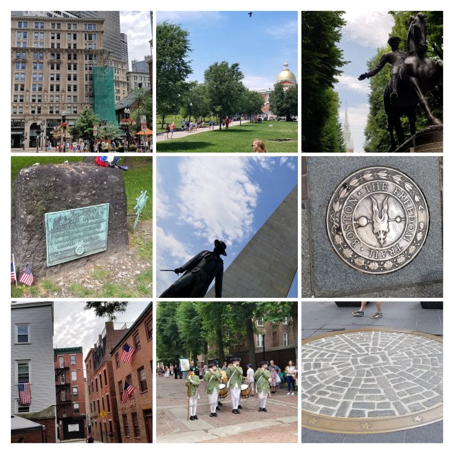 20180630_132741-COLLAGE.jpg