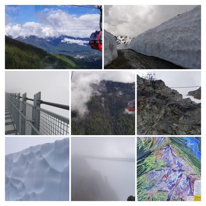 20190626_104157-collage