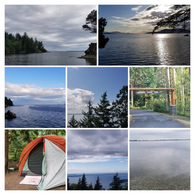 20190824_130532-COLLAGE