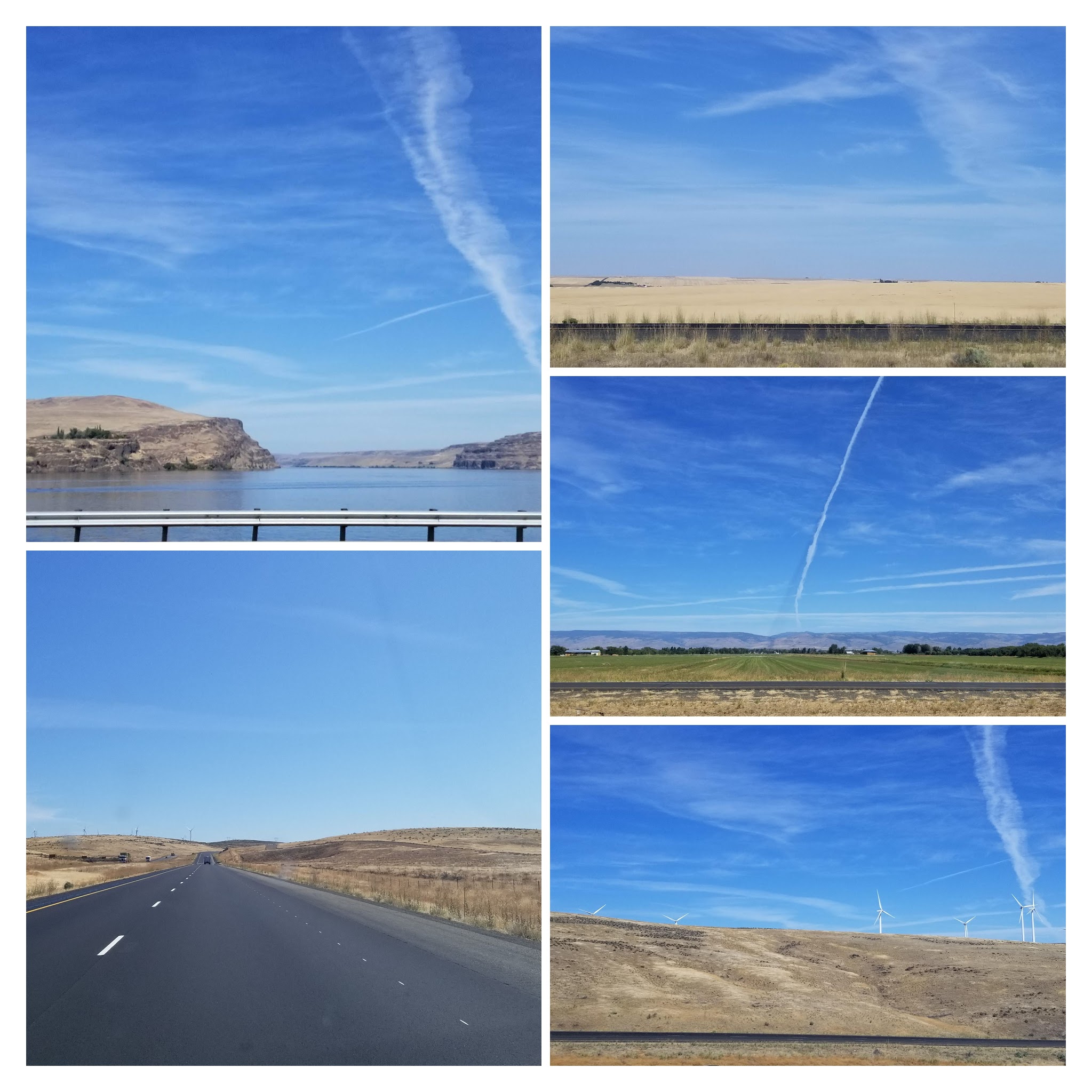 20190828_115033-collage