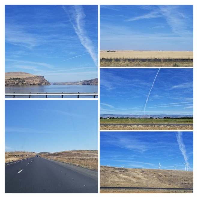 20190828_115033-collage