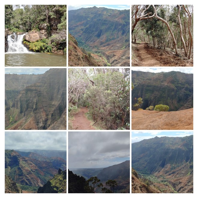 20200218_114954_hdr-collage