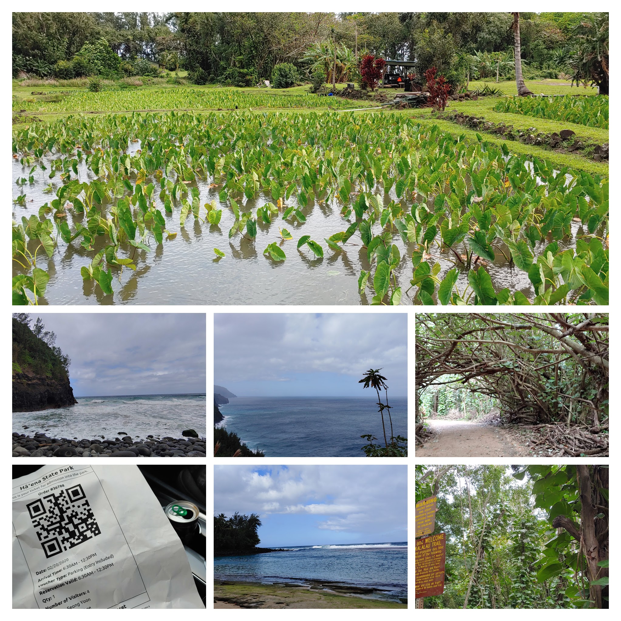 20200220_094401-collage