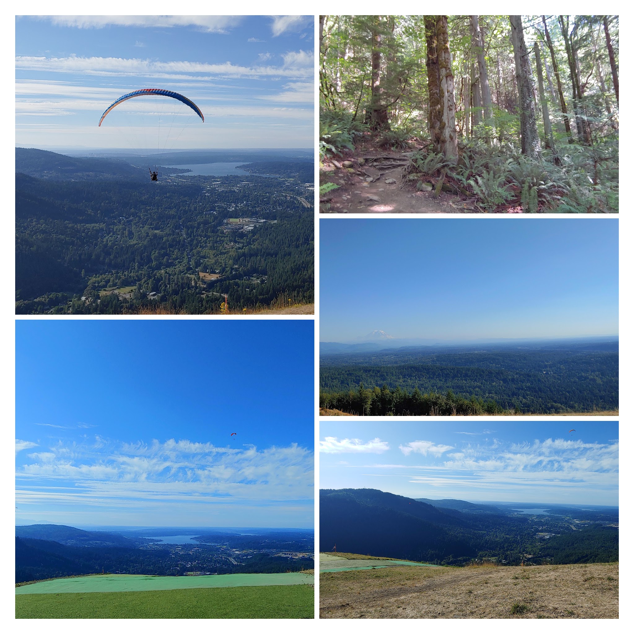 20200823_154811-collage-1