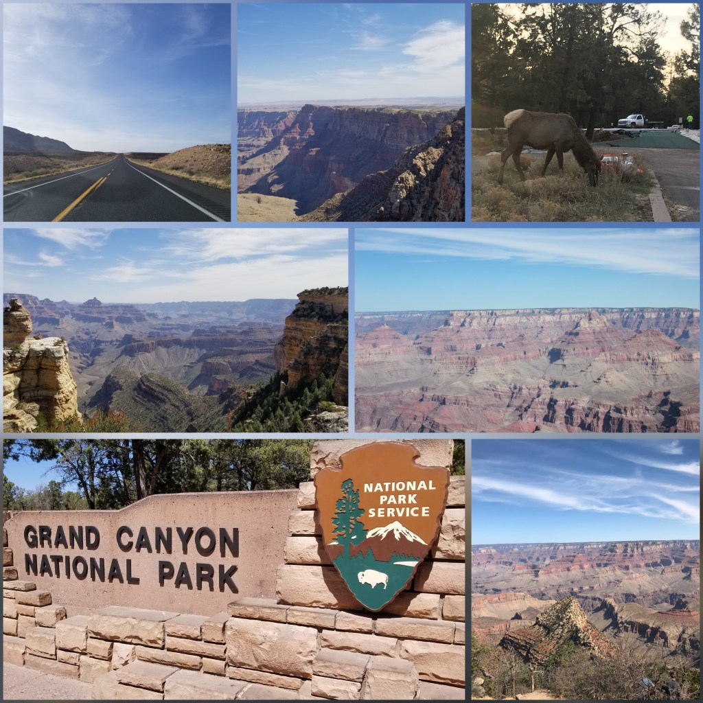 InCollage_20250715_225952967